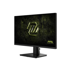 Écran MSI MAG 256F E20 (9S6-3BC2CM-077)