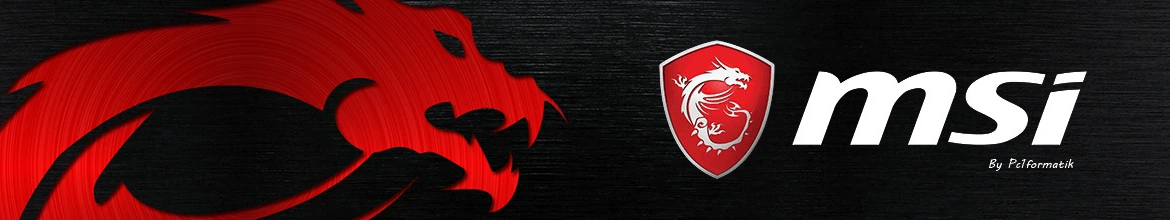 Voir les produits MSI